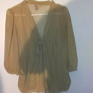 Tan, sheer, 3/4 length sleeve blouse.